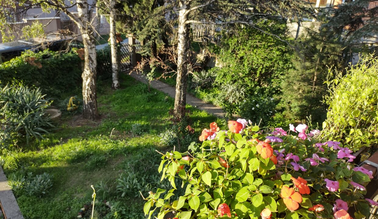 IMG_20220918_174226874_HDR