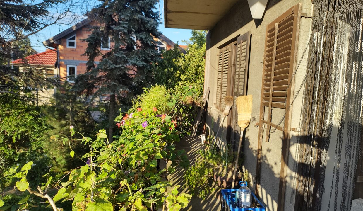 IMG_20220918_174240669_HDR