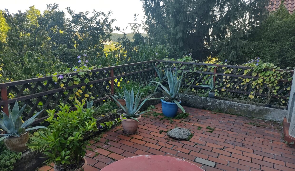IMG_20220918_174421894_HDR