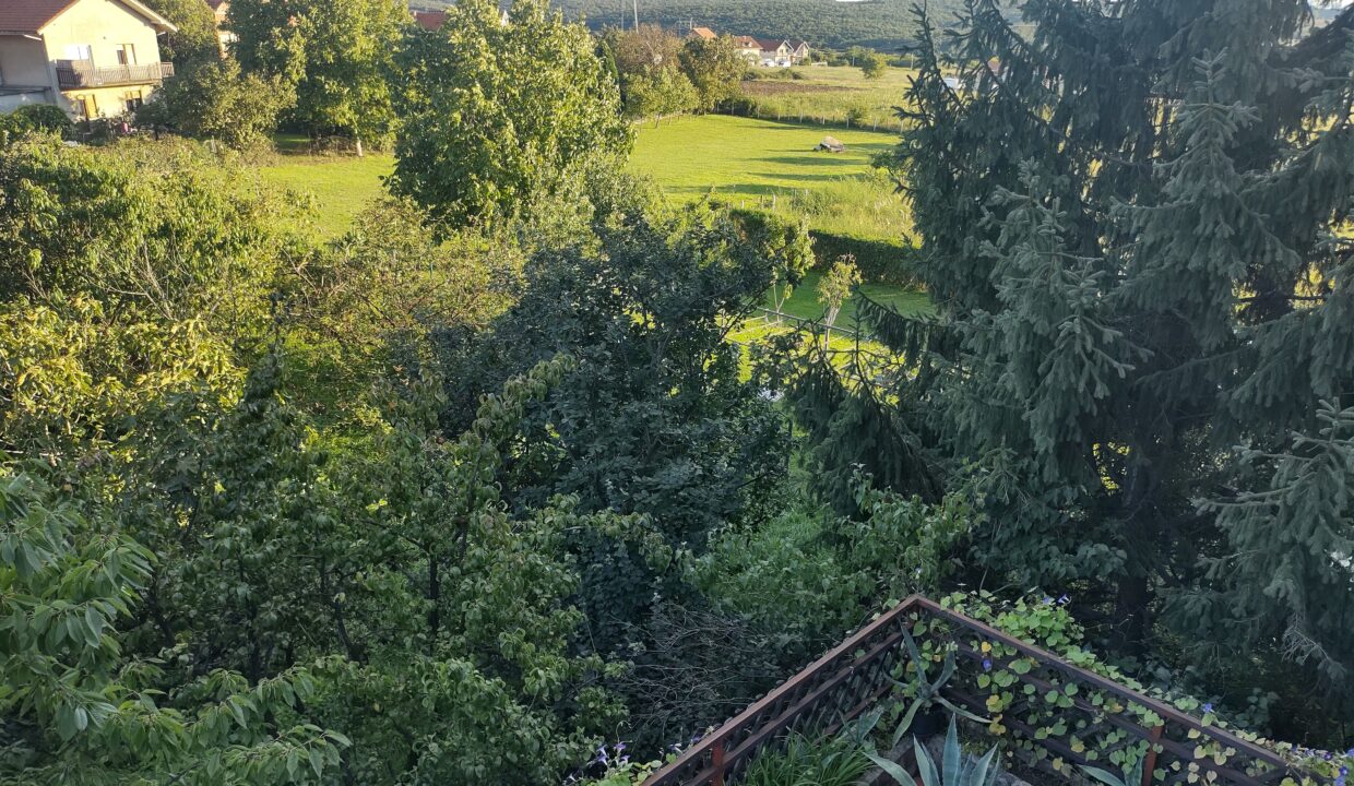 IMG_20220918_174903036_HDR